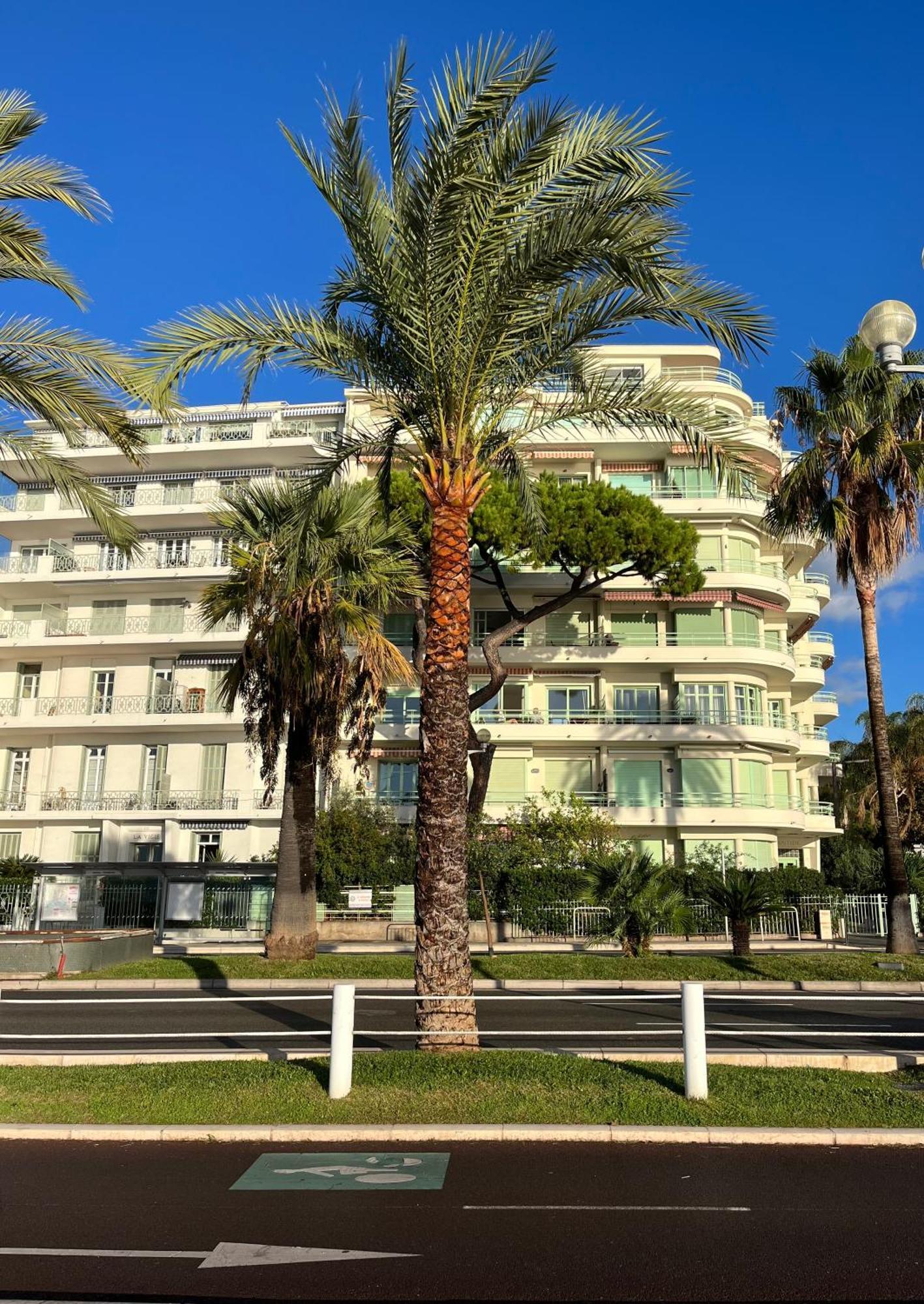 Nice 115 By The Sea Exteriér fotografie